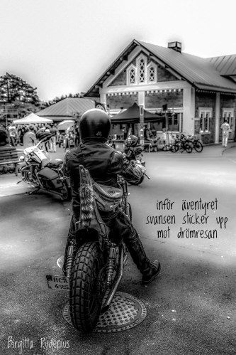 Pics&Poetry ©️BirgittaRudenius